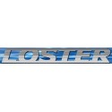 Loster